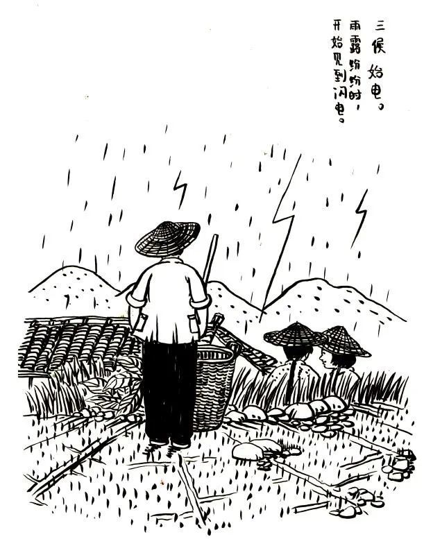 春分春分到蛋儿俏竖起蛋儿好风光