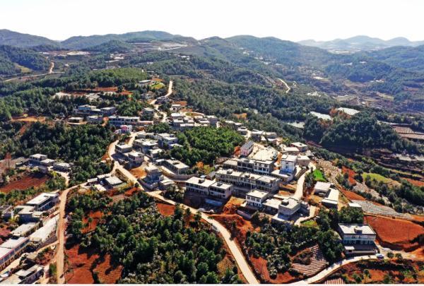 贵州威宁岔河镇战天斗地绿化荒山合力打造金山银山