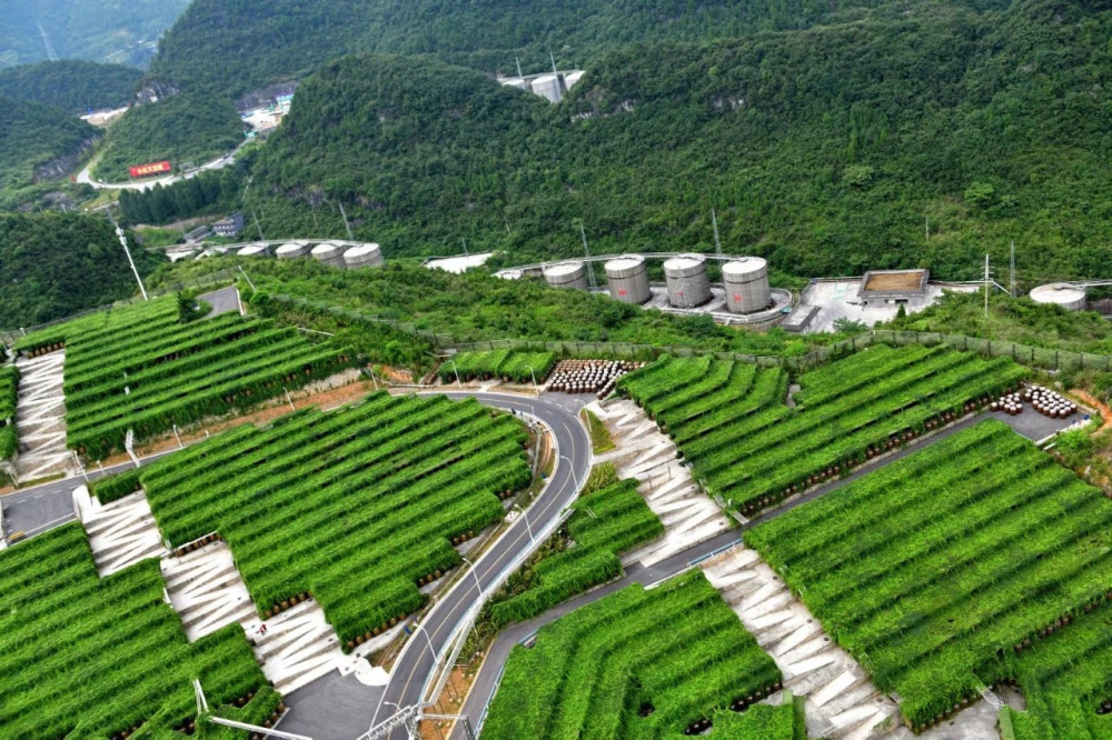 庄园酱酒新纪元开启 赤水河左岸呈现世界级郎酒庄园