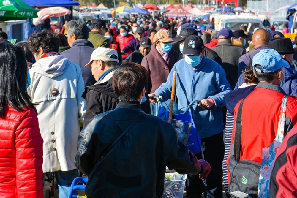 地址:北京市通州区张家湾张采路开集日期:农历逢三,八.