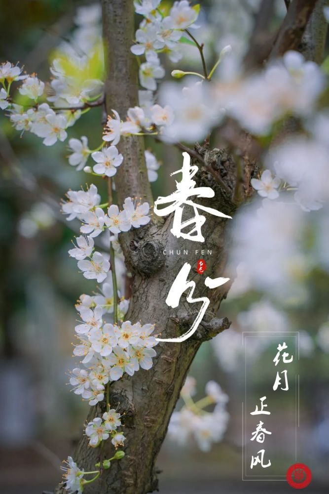 落英缤纷,雾雨蒙蒙,你看那露珠在叶尖醒来,与你一起迎接清晨的阳光