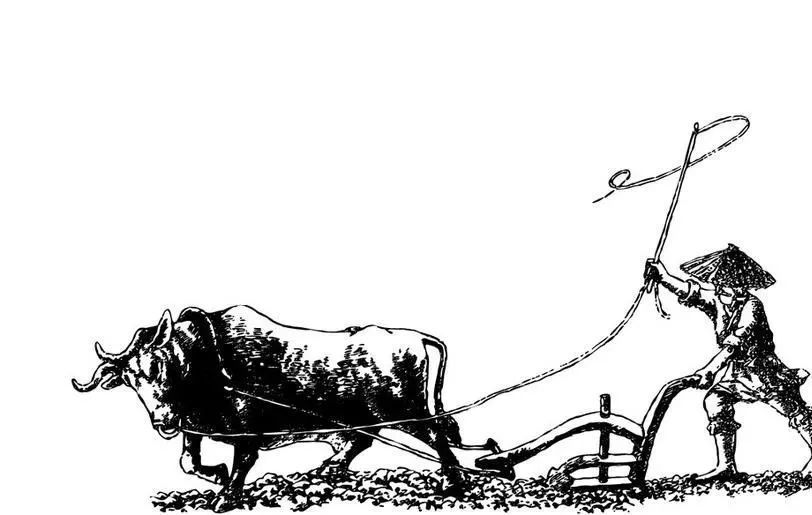 今日春分仲春初四日春色正中分