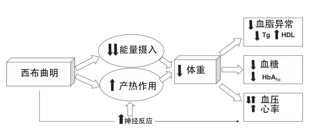 减肥|较真丨减肥产品含违禁药再被曝光，为什么说滥用这些产品是在玩命？