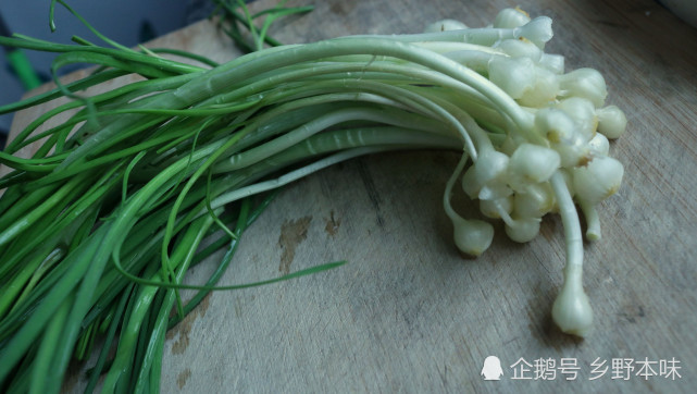 三月野菜飄香,挖一把帶回家,味鮮營養高,外面餐館你還吃不到|野藠頭