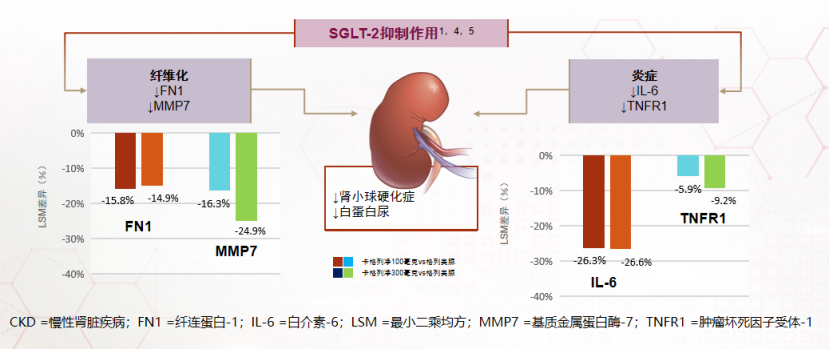 4,sglt-2抑制剂可降低t2d患者的肾脏工作负荷及缺氧sglt-2抑制作用可