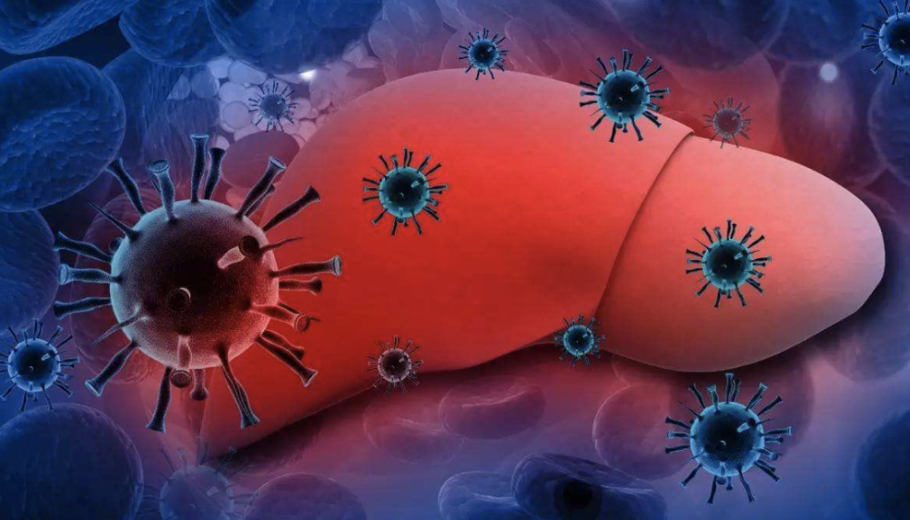 乙肝|和乙肝患者一起吃饭到底会不会被传染？