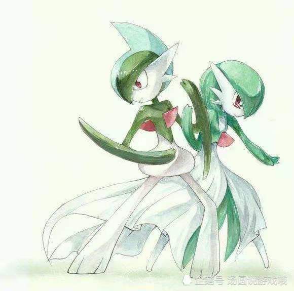 口袋妖怪看似一对的宝可梦可能是兄妹关系原来我们都被骗了