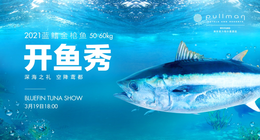 蓝鳍金枪鱼开鱼秀惊艳亮相潍坊富力铂尔曼酒店