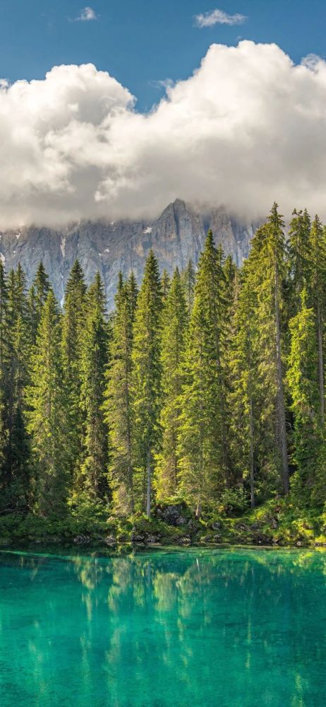 精选超好看的手机壁纸第1341期