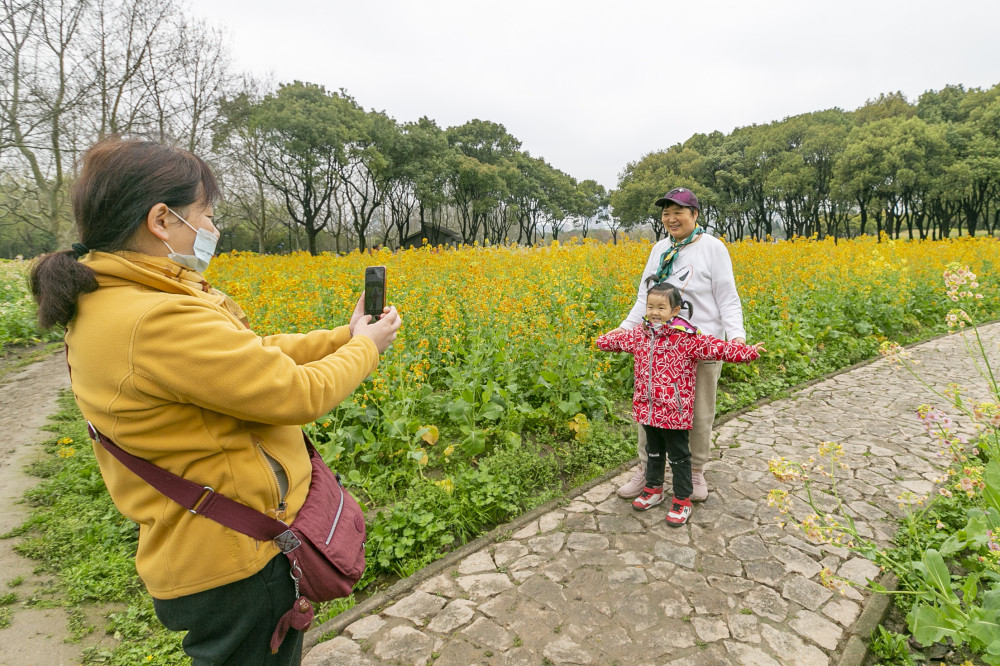 社会上海春分时节百花开踏青赏花正当时