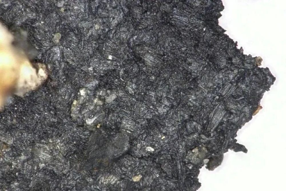 三星堆金面具刷屏网友发现这个细节