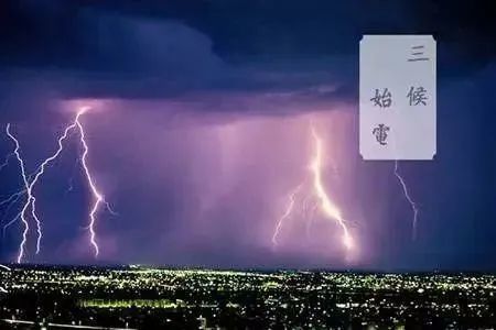 节气|春风不解意,三月桃花寄