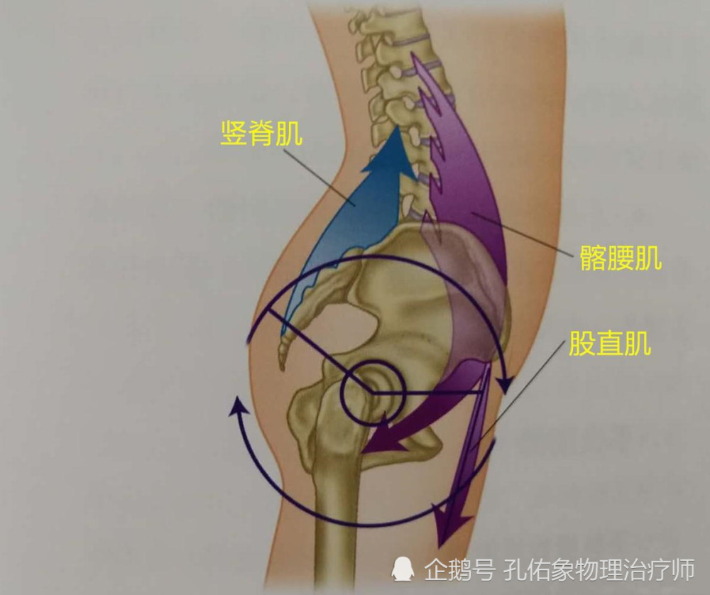 腰疼和腿麻木时 请不要只想着腰椎间盘突出 这种情况不应被忽视 腾讯新闻