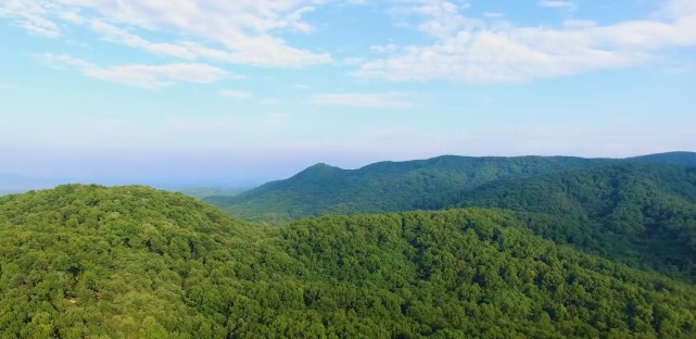 春游江淮请您来▍明光踏青,春晖润心!