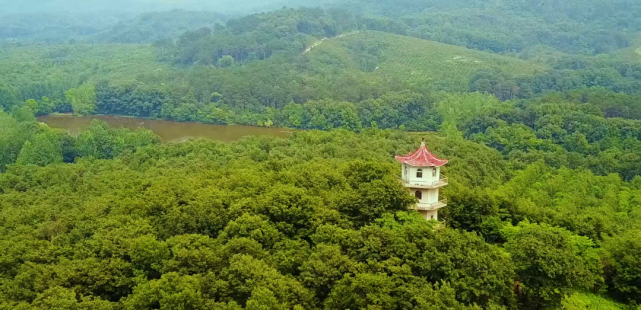 春游江淮请您来▍明光踏青,春晖润心!