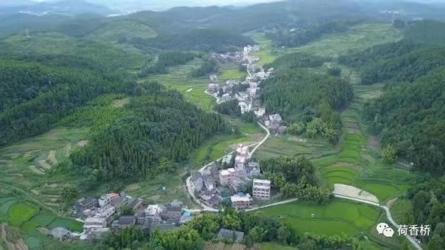 我的家乡 天马山村 天马山村