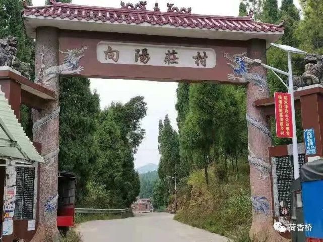 我的家乡 天马山村 天马山村