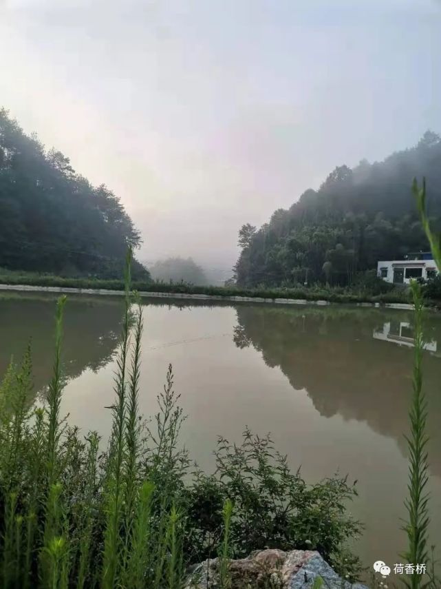 我的家乡 天马山村 天马山村