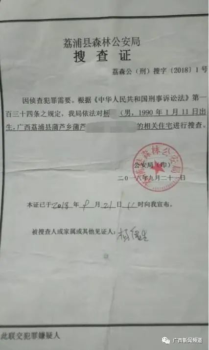 荔浦一男子市场购买鹦鹉自学技术繁殖 售卖4只获刑5年罚款2万 腾讯新闻