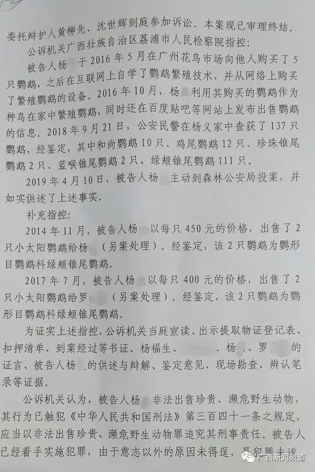 荔浦一男子市场购买鹦鹉自学技术繁殖 售卖4只获刑5年罚款2万 腾讯新闻