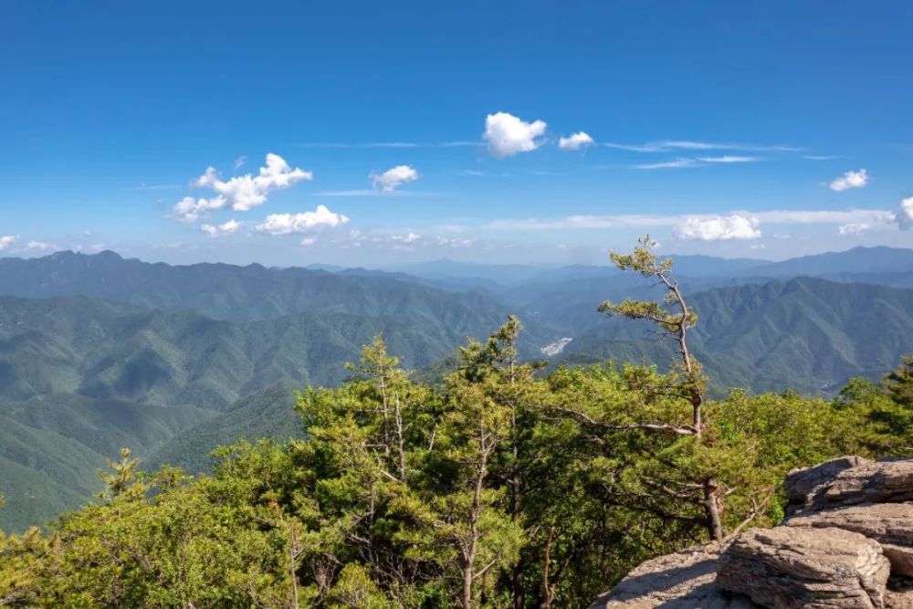 商洛市柞水縣營盤鎮朱家灣村天竺山國家森林公園地址:商洛市山陽縣