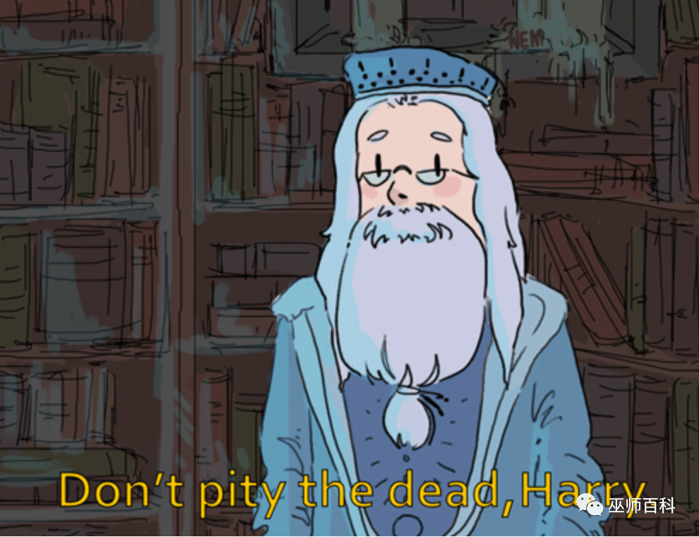 想要跟邓布利多一样充满智慧吗