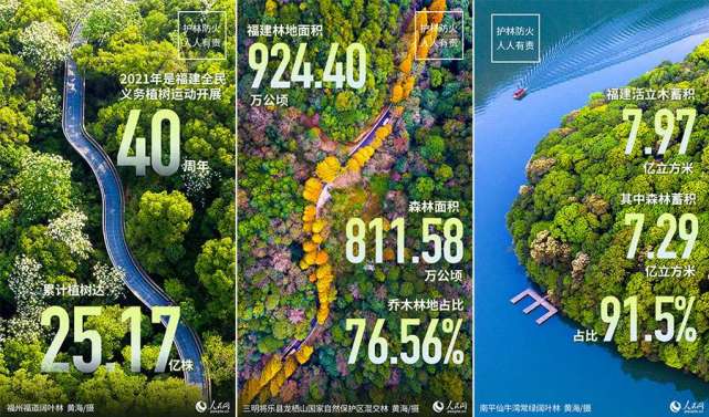 40年来,福建全省累计参加义务植树人数为6.34亿人次,植树达25.