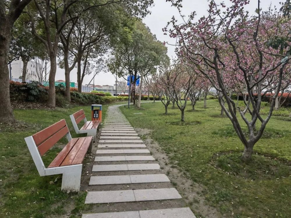 市民呼声:苏州河畔风铃绿地多处游戏设施损坏,存在安全隐患_腾讯新闻