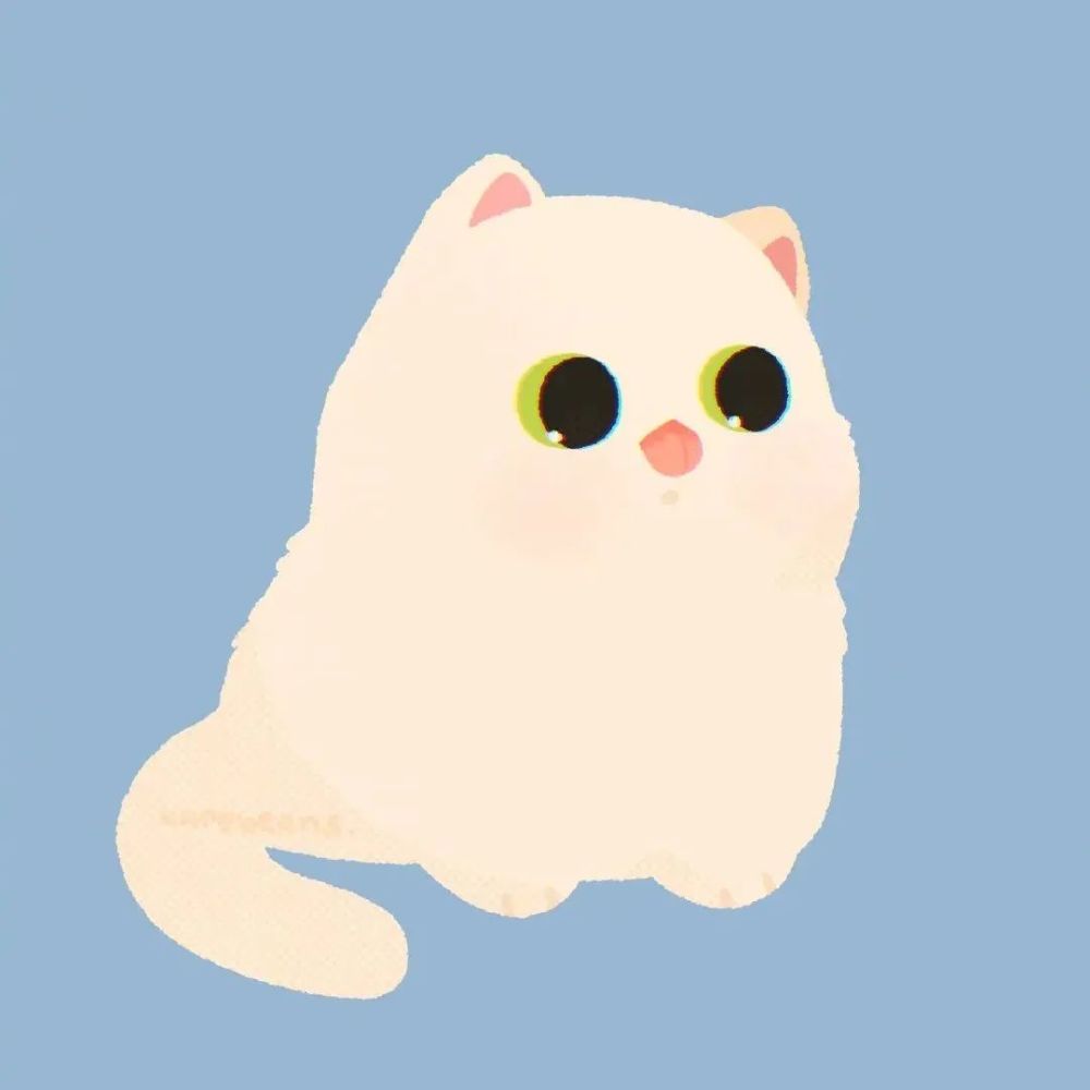 猫咪情头丨小众丨喵