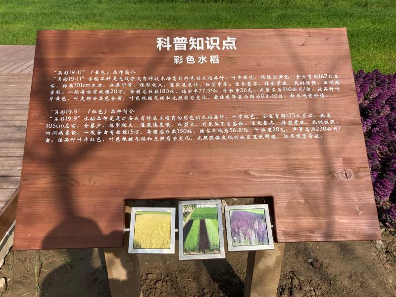 农田旁的科普展牌.
