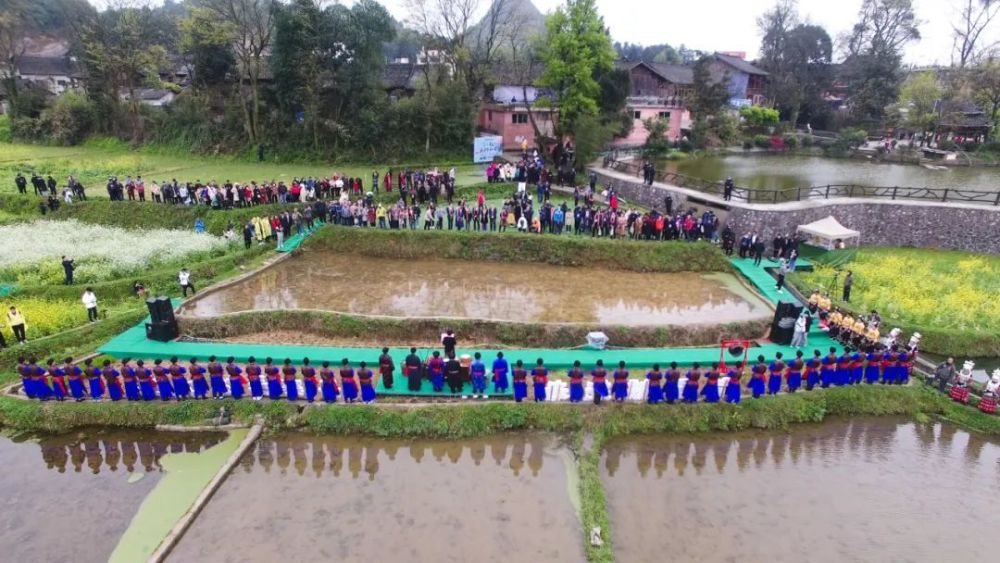 今年丹寨春耕,遇见最美春光,收获满满感动