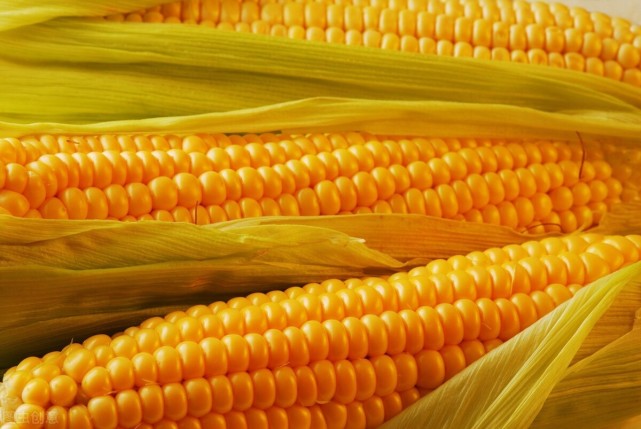 641