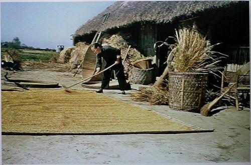 人类在进化还是退化:90年代农民肩扛400斤,为何现代人却不行了