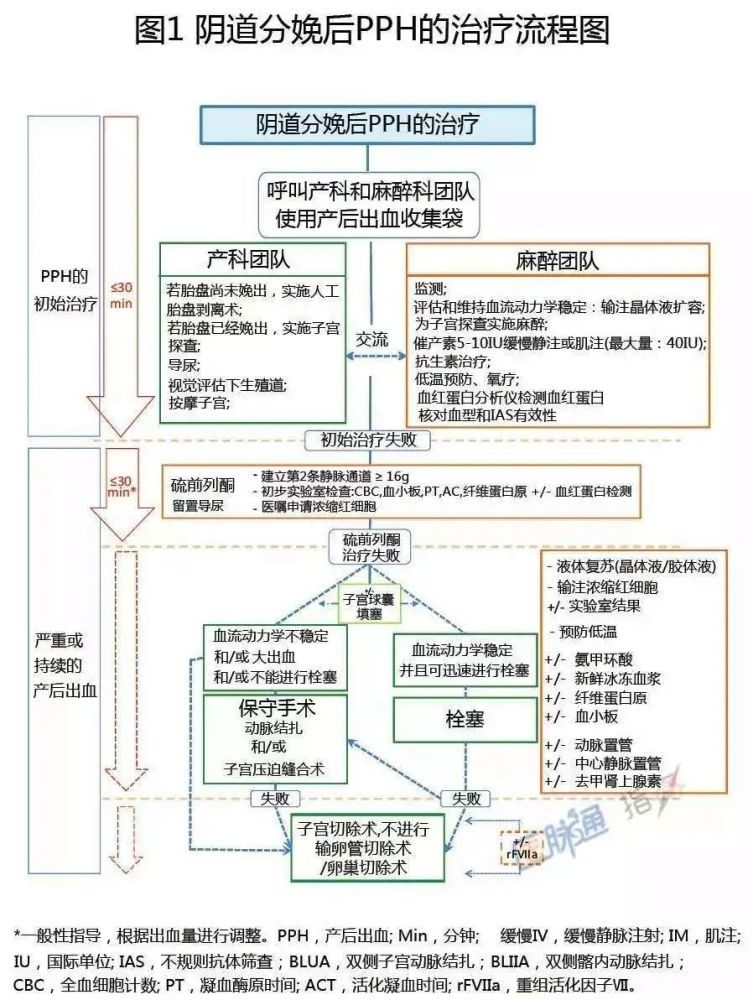 14羊水栓塞處理流程15新生兒窒息處理流程16低血糖處理流程18高鈣血癥