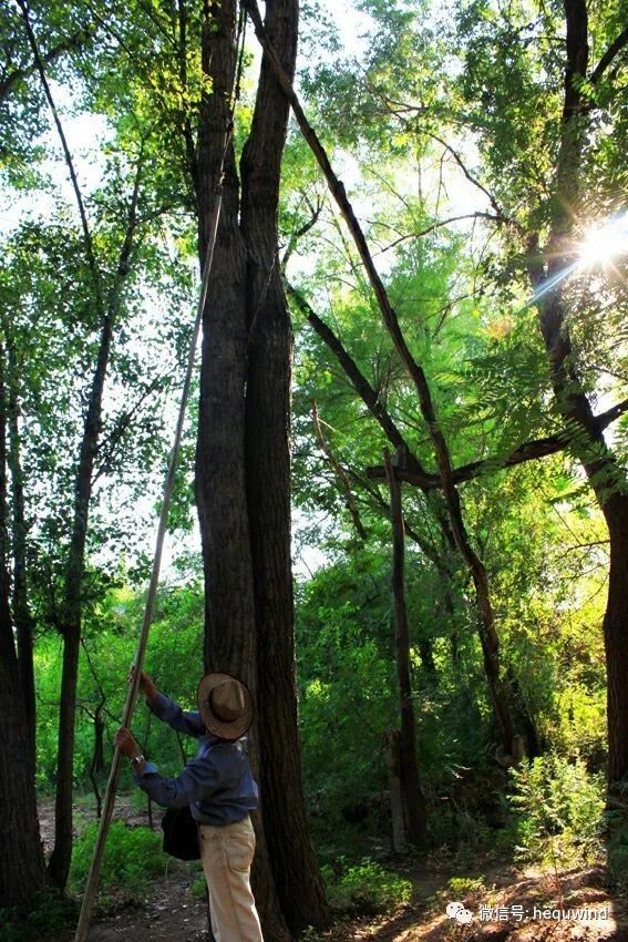 图文忻州|长城脚下的家—娘娘滩