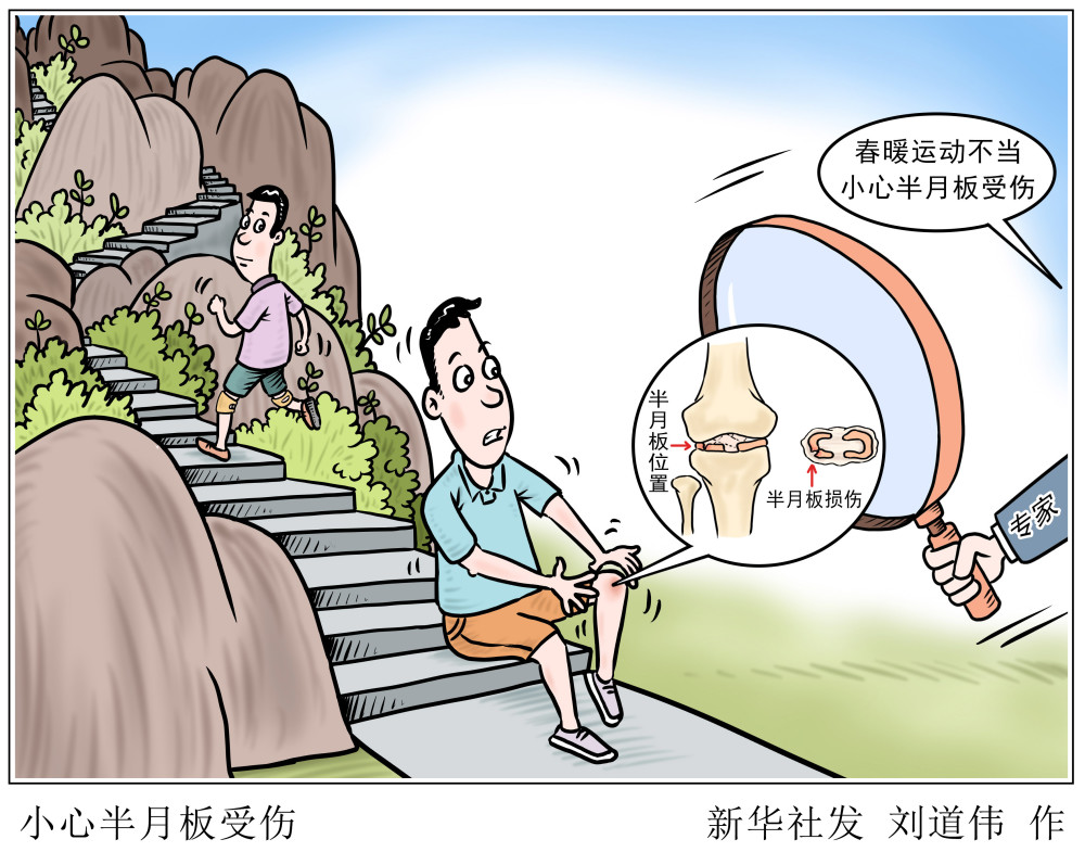图表漫画体育小心半月板受伤