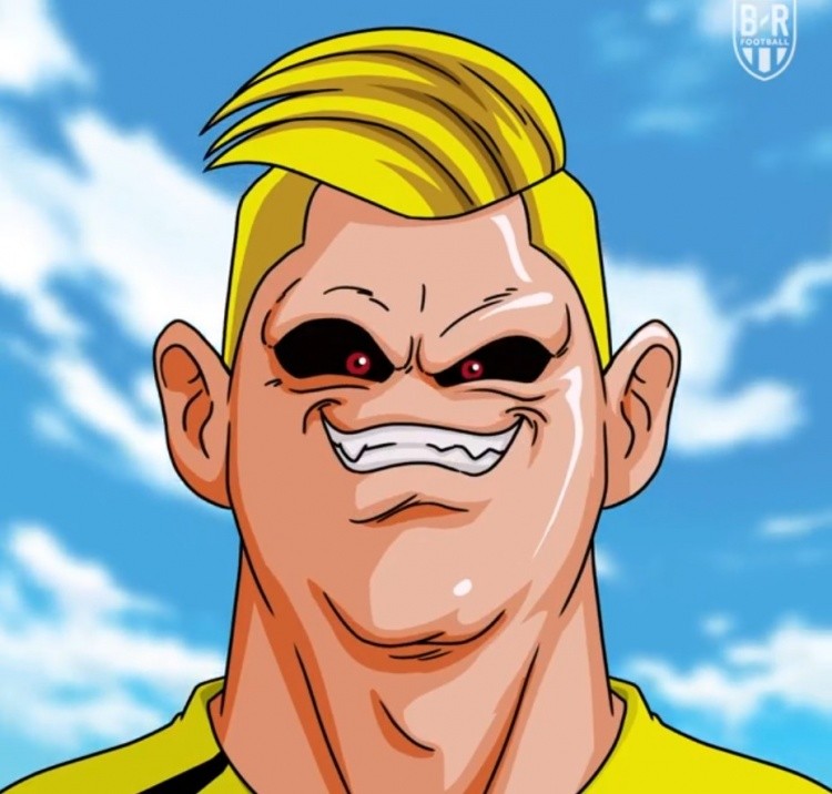 毫无ps痕迹与违和感br晒哈兰德魔人布欧换头动画