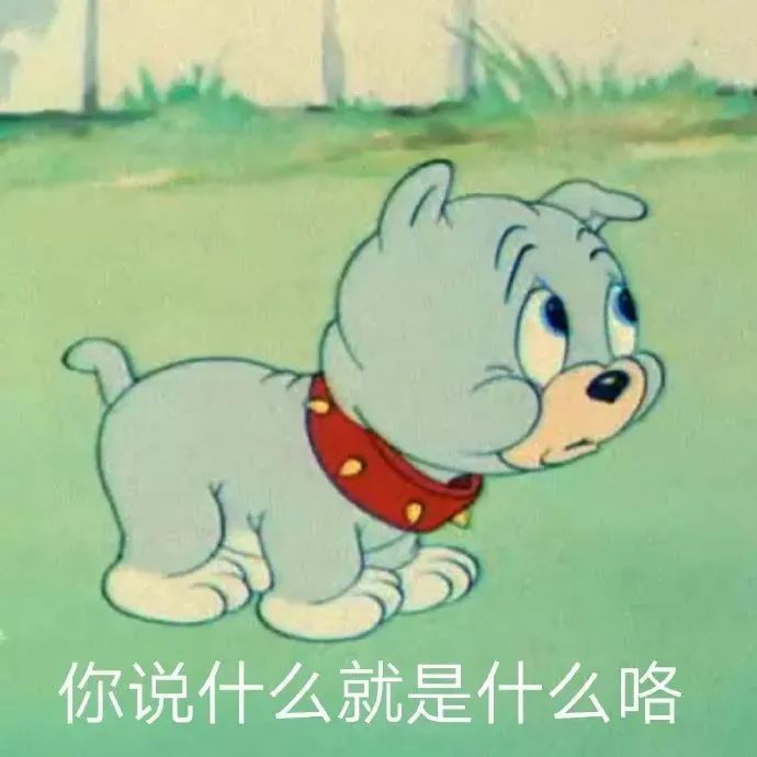 猫和老鼠搞怪表情包