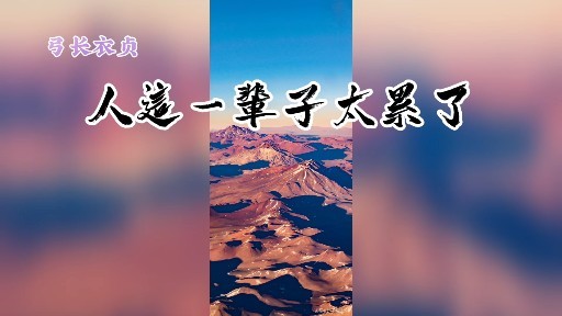 人这一辈子太累了