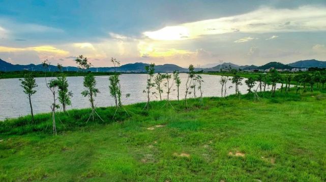 普宁迎来首个生态湿地公园!