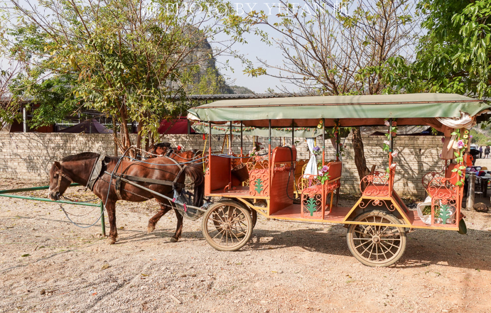 云南的马车太便宜了坐一次才5元车夫刘德华说一天只能赚50元