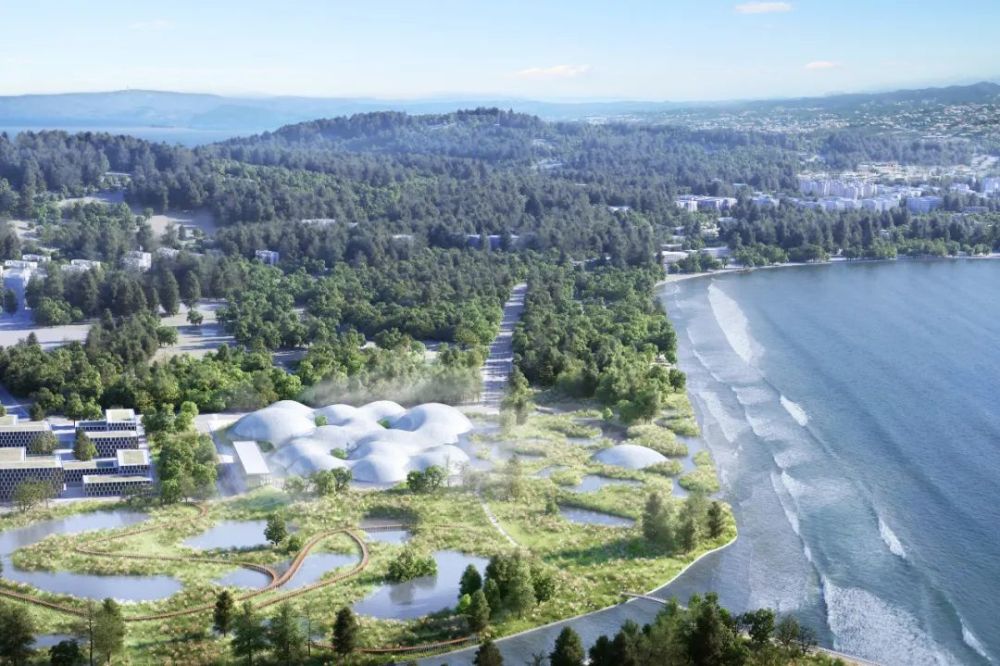 去深圳 看 海上的云 腾讯新闻