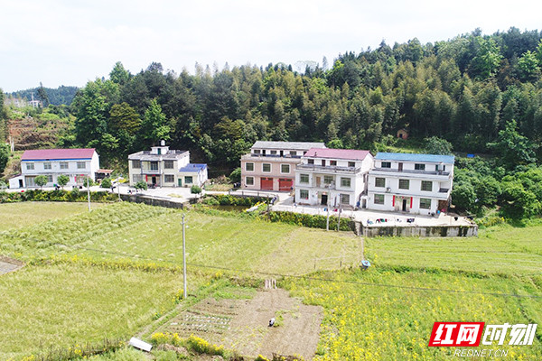 岳阳梅仙镇:优良家风宣讲到组到户