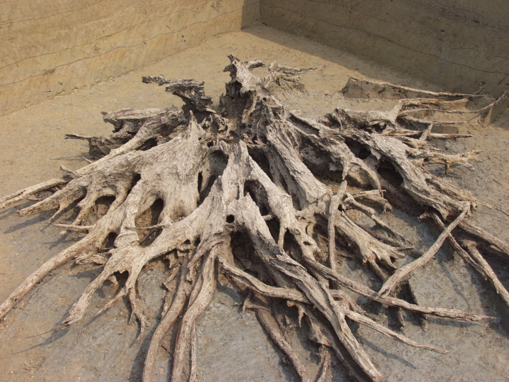 金沙大树根青铜神树,三星堆出土成都日报·锦观新闻 记者 王嘉 段祯