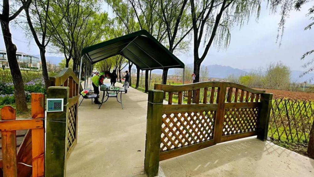 堪比金庸小说中的百花谷西安终南山这个悦芽谷你去过吗