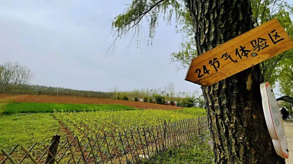 堪比金庸小说中的百花谷西安终南山这个悦芽谷你去过吗