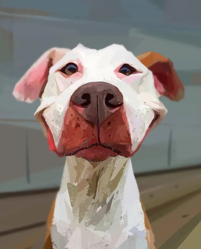 一组萌到爆的动物肖像插画插画师albenizrodriguez