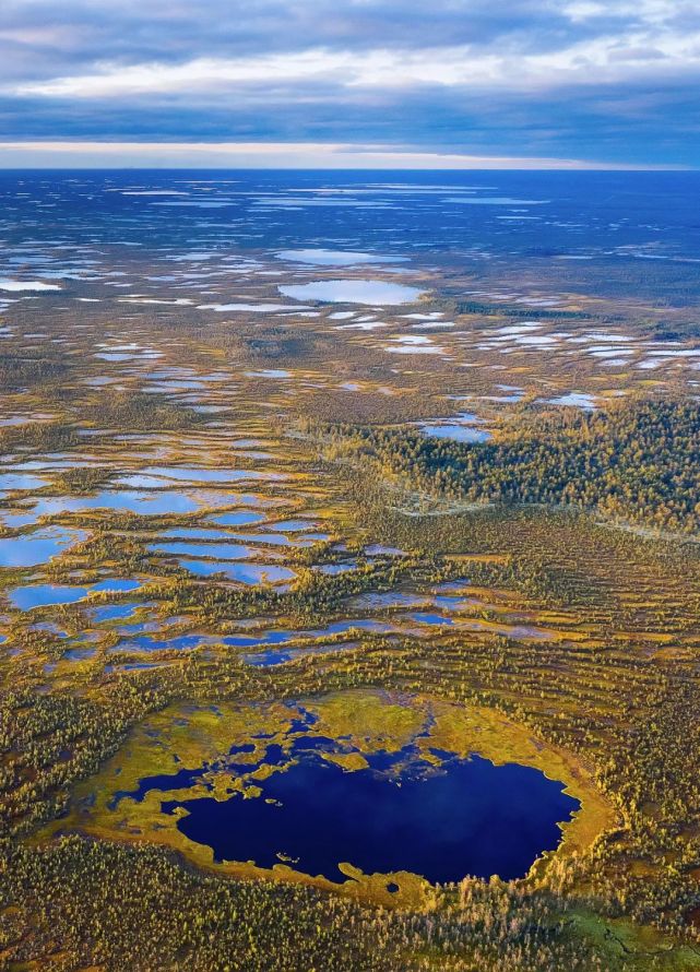 俄罗斯沼泽藏着不少"宝贝",坦克飞机一大堆,还捞出核导弹残骸