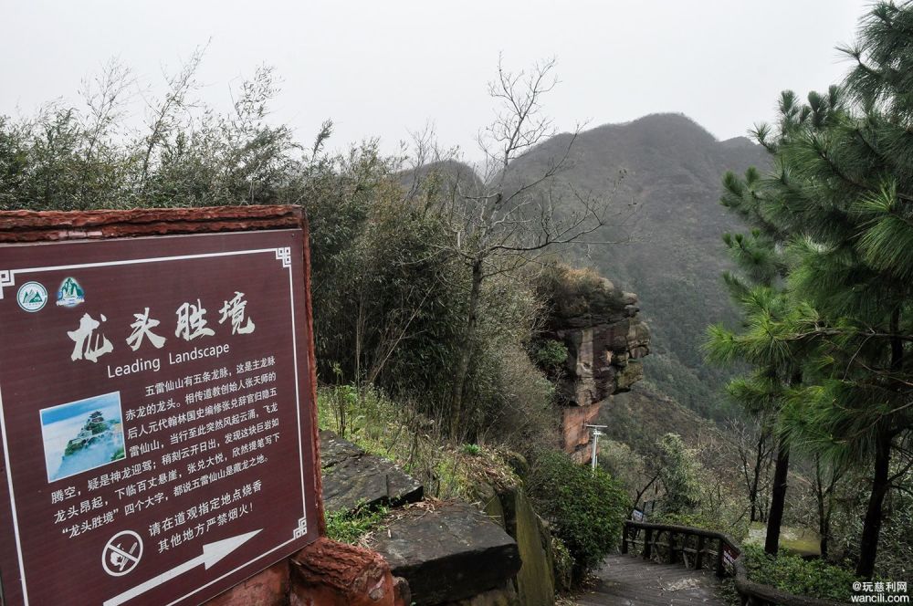 春游张家界五雷仙山 踏青赏景观天下 嗅遍漫山杜鹃花 腾讯新闻