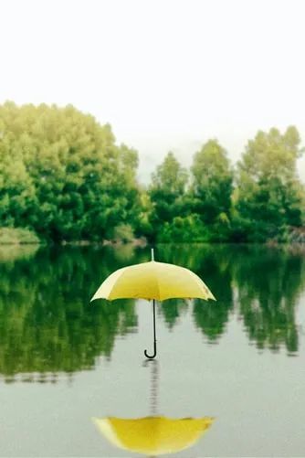 風雨人生,自己撐傘!_騰訊新聞